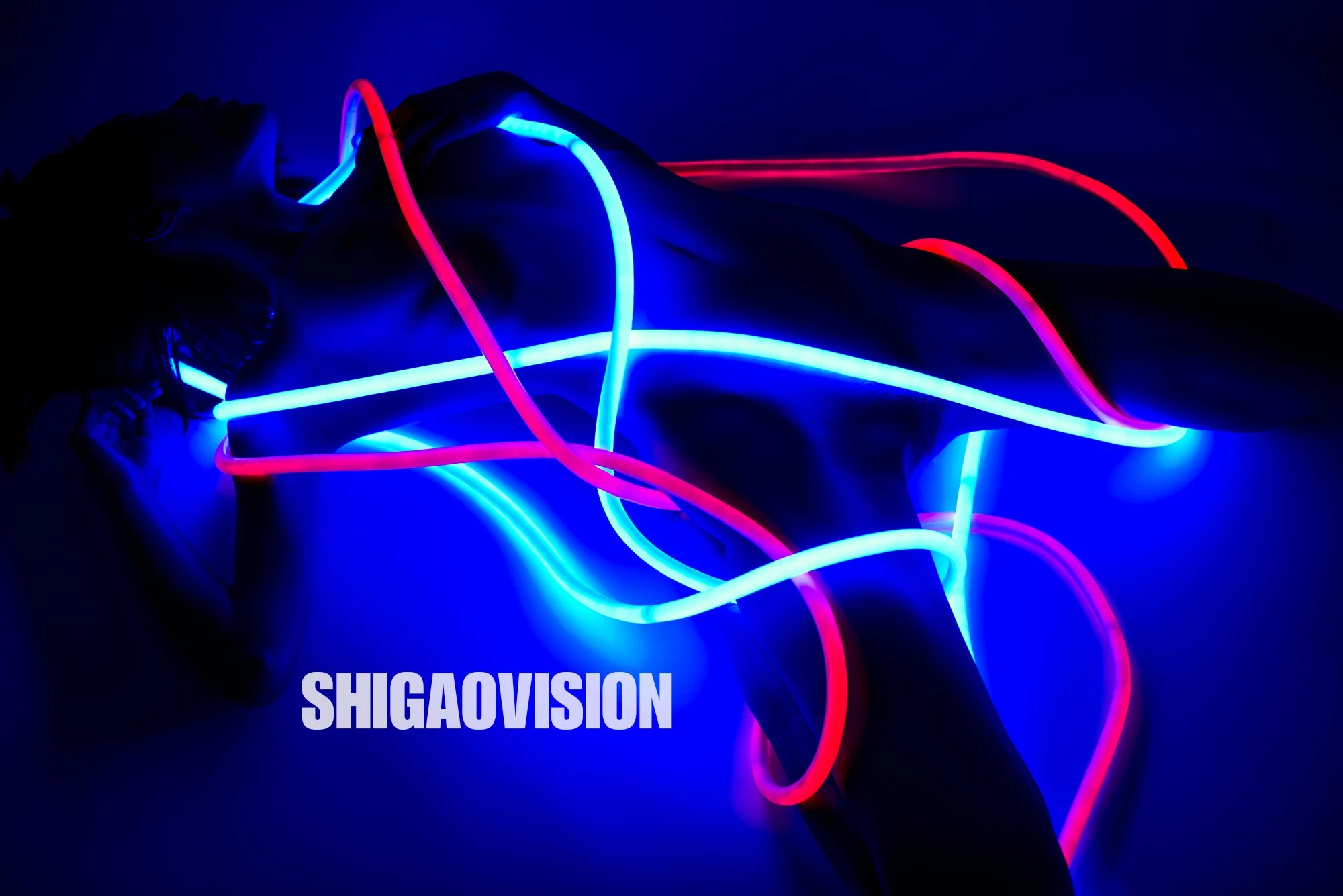 Shigaovision 影集 [1][100P]