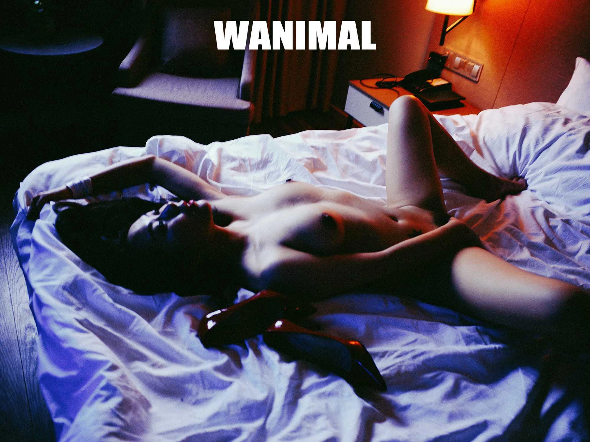 [WANIMAL]官方出品2019年7月 72P [72P]