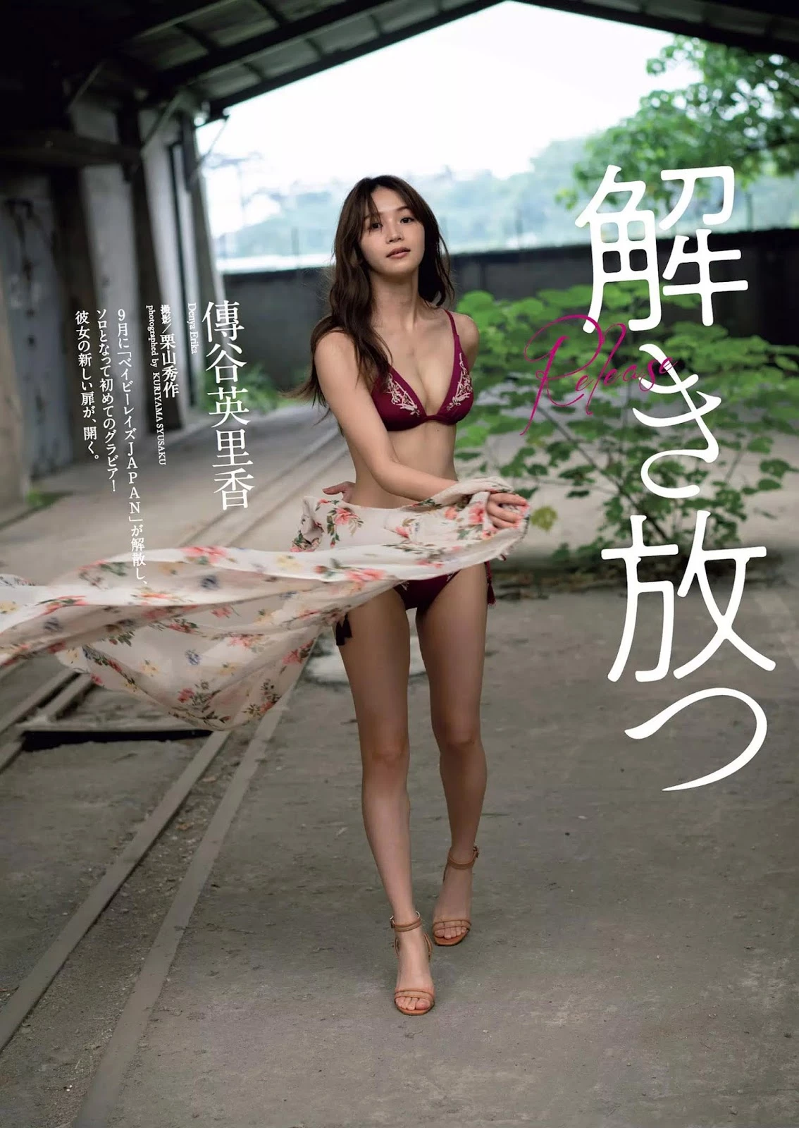 Erika Den’ya 传谷英里香, Weekly Playboy 2018 No.51 [周刊プレイボーイ 2018年51号]