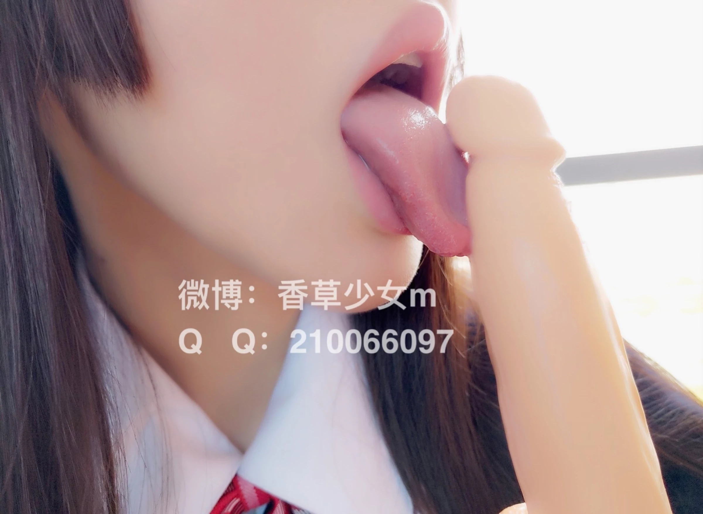 [网络收集系列]福利姬 香草少女《 天台上的情欲优等生 》大尺度VIP福利帖[44P]