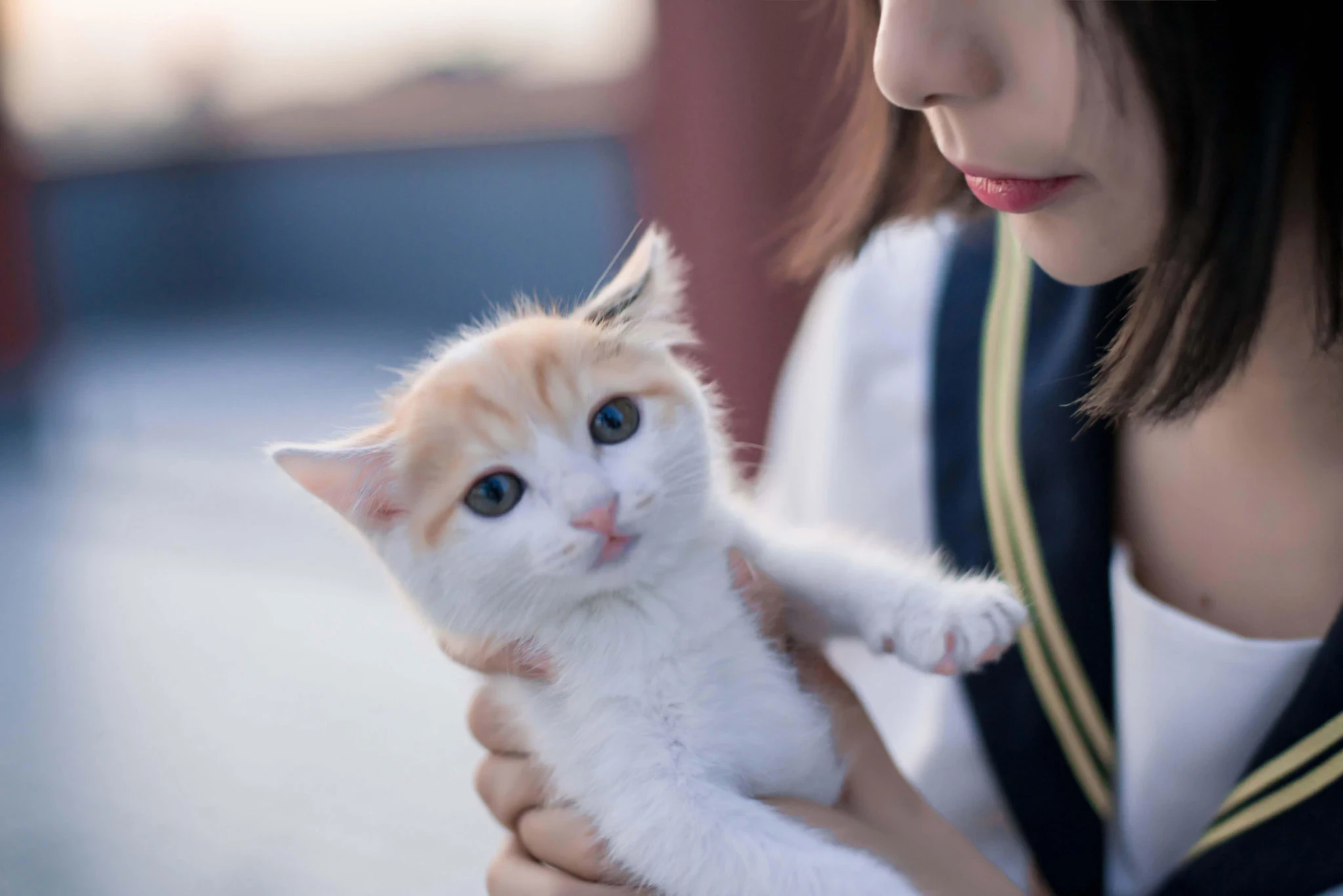 清纯的制服少女与猫写真图集[CN：明明大蓝鲸]