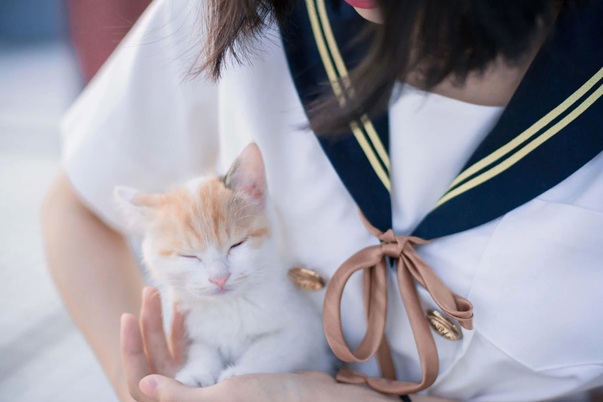 清纯的制服少女与猫写真图集[CN：明明大蓝鲸]