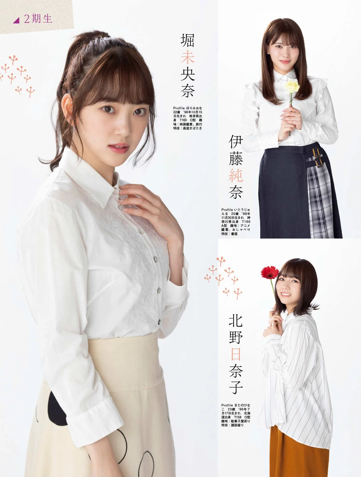 乃木坂46 Platinum FLASH 2019 Vol.10