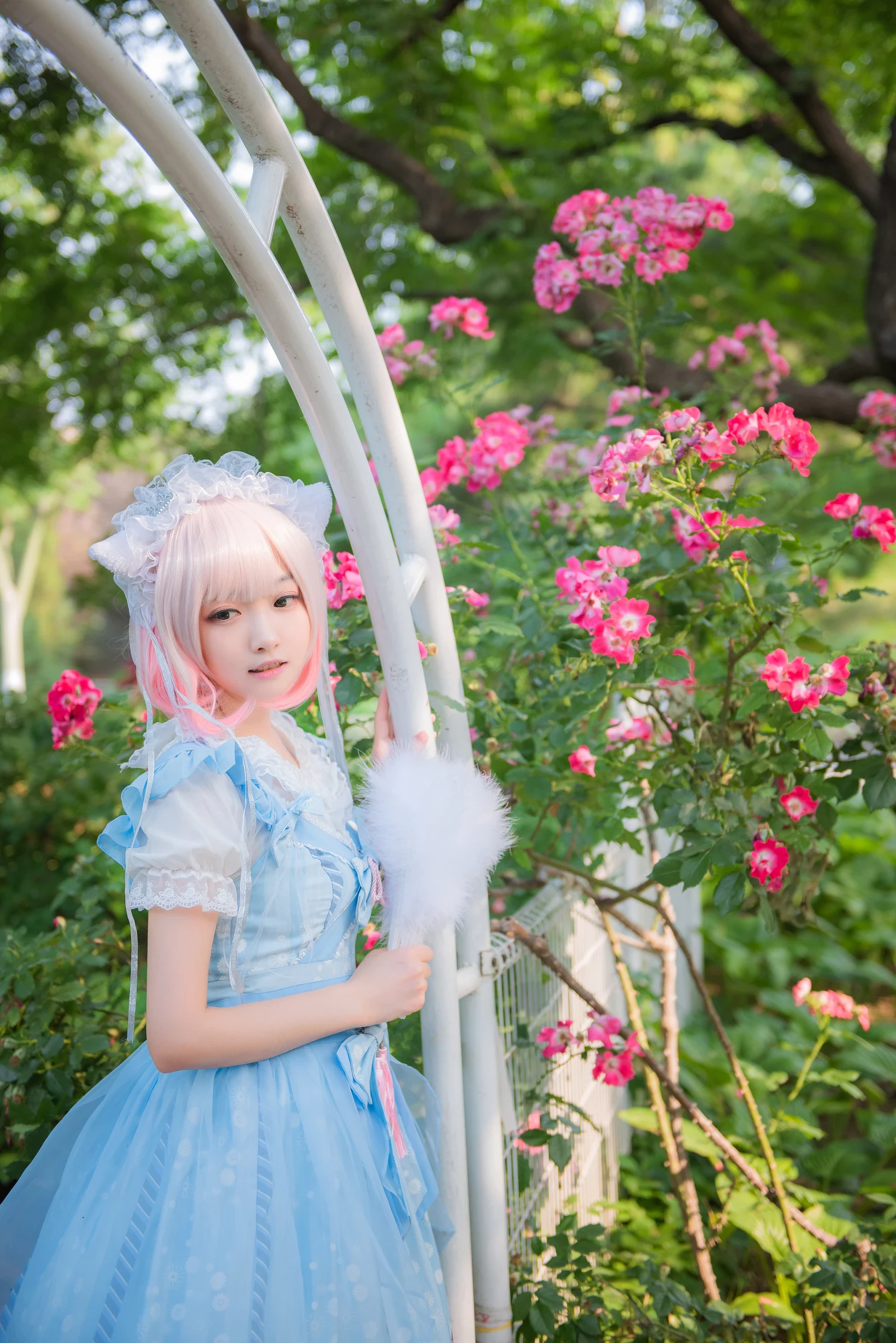 Lolita猫系少女写真[CN：蓝裳]