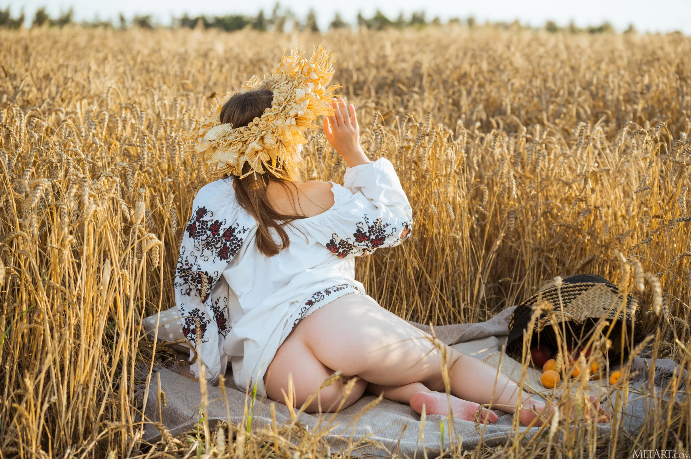 Aristeia in Maize Maiden [120P]