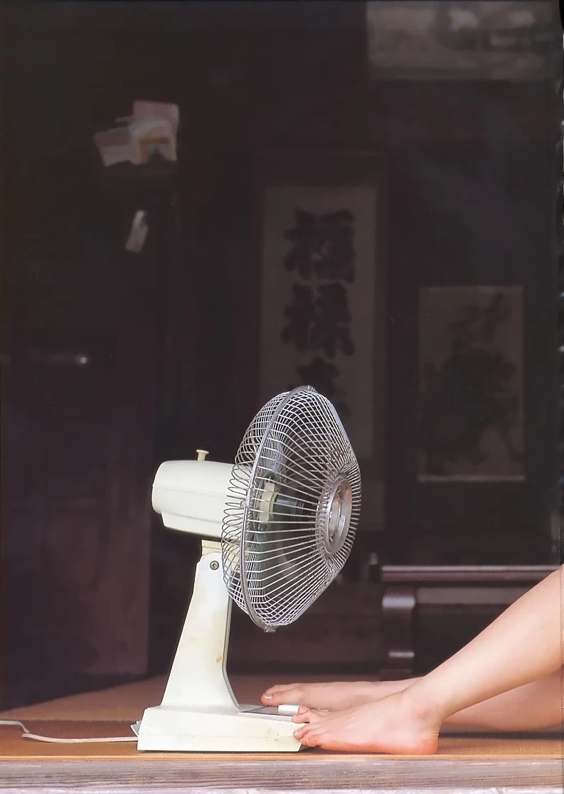 佐藤寛子[Photobook] - DIOSA [377P]