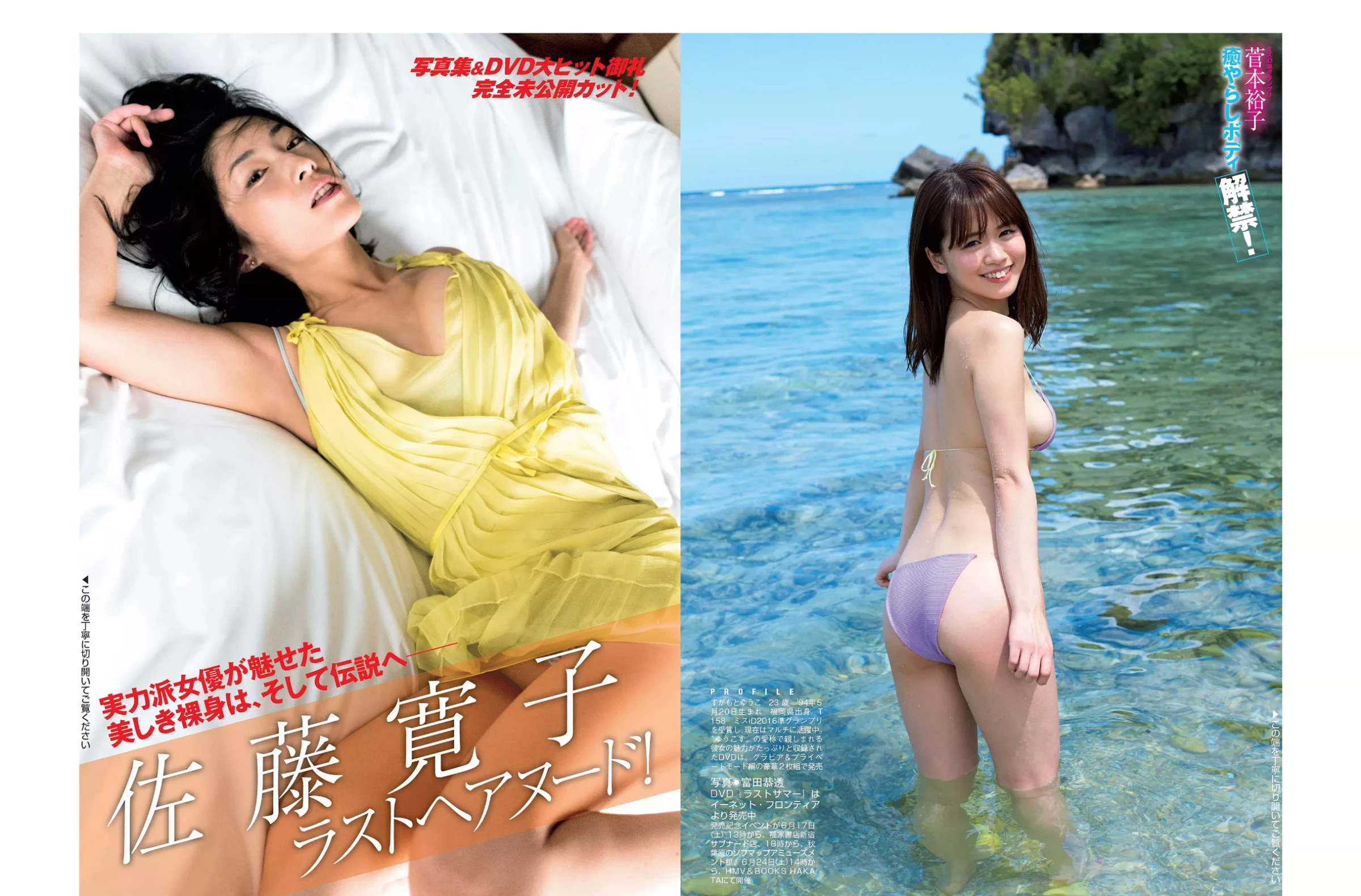 佐藤寛子[Photobook] - 情热 [683P]