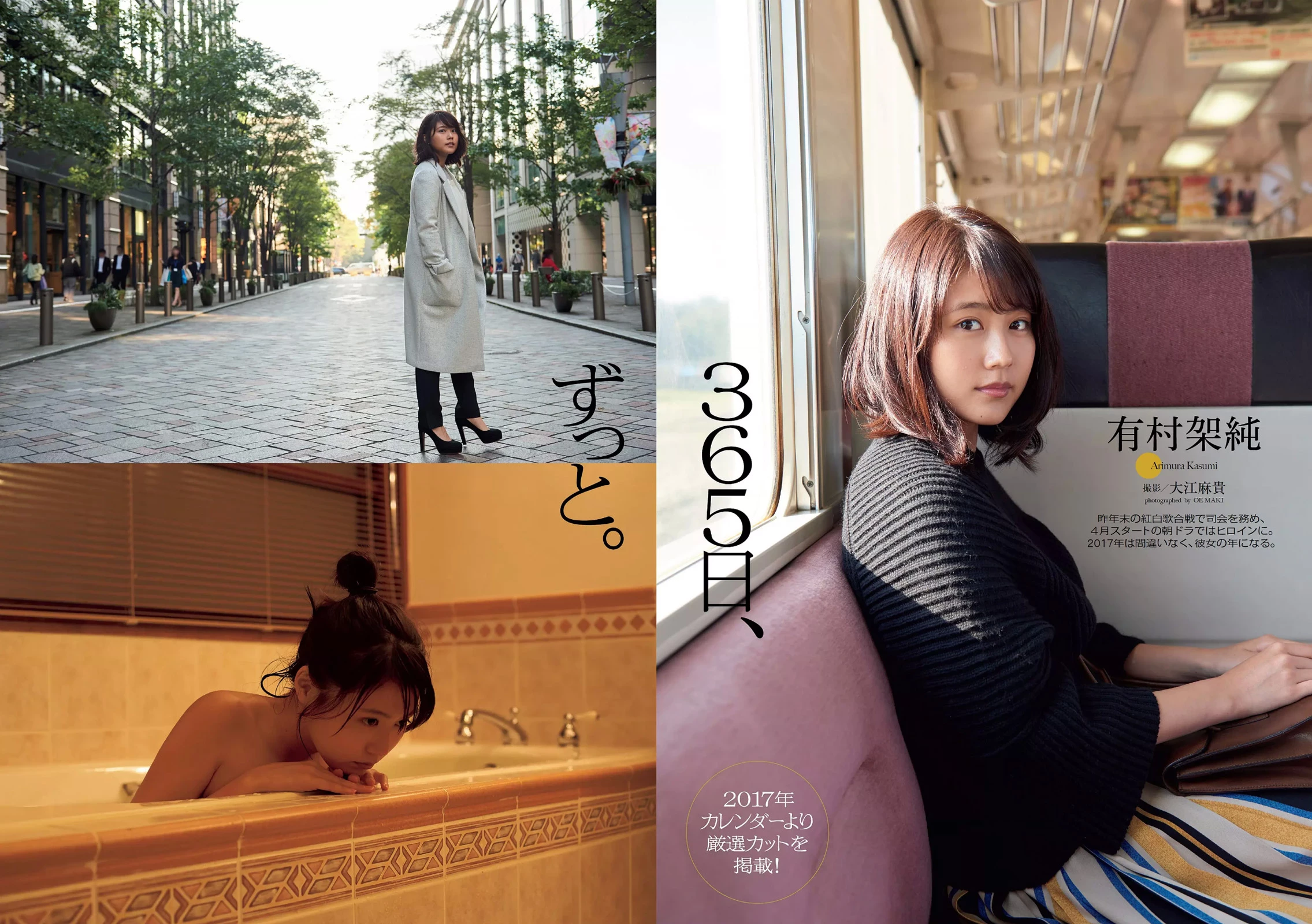 佐藤寛子[Photobook] - 情热 [683P]