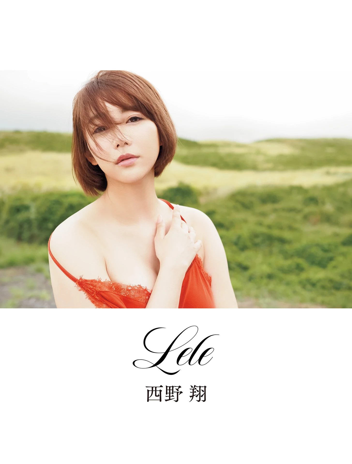 西野翔 [Photo]《Lele》 [88P]