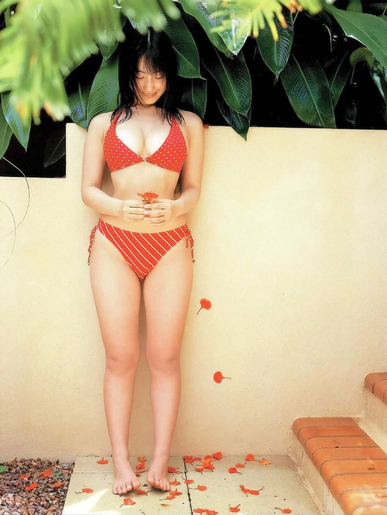 佐藤寛子[Photobook] - 情热 [732P]