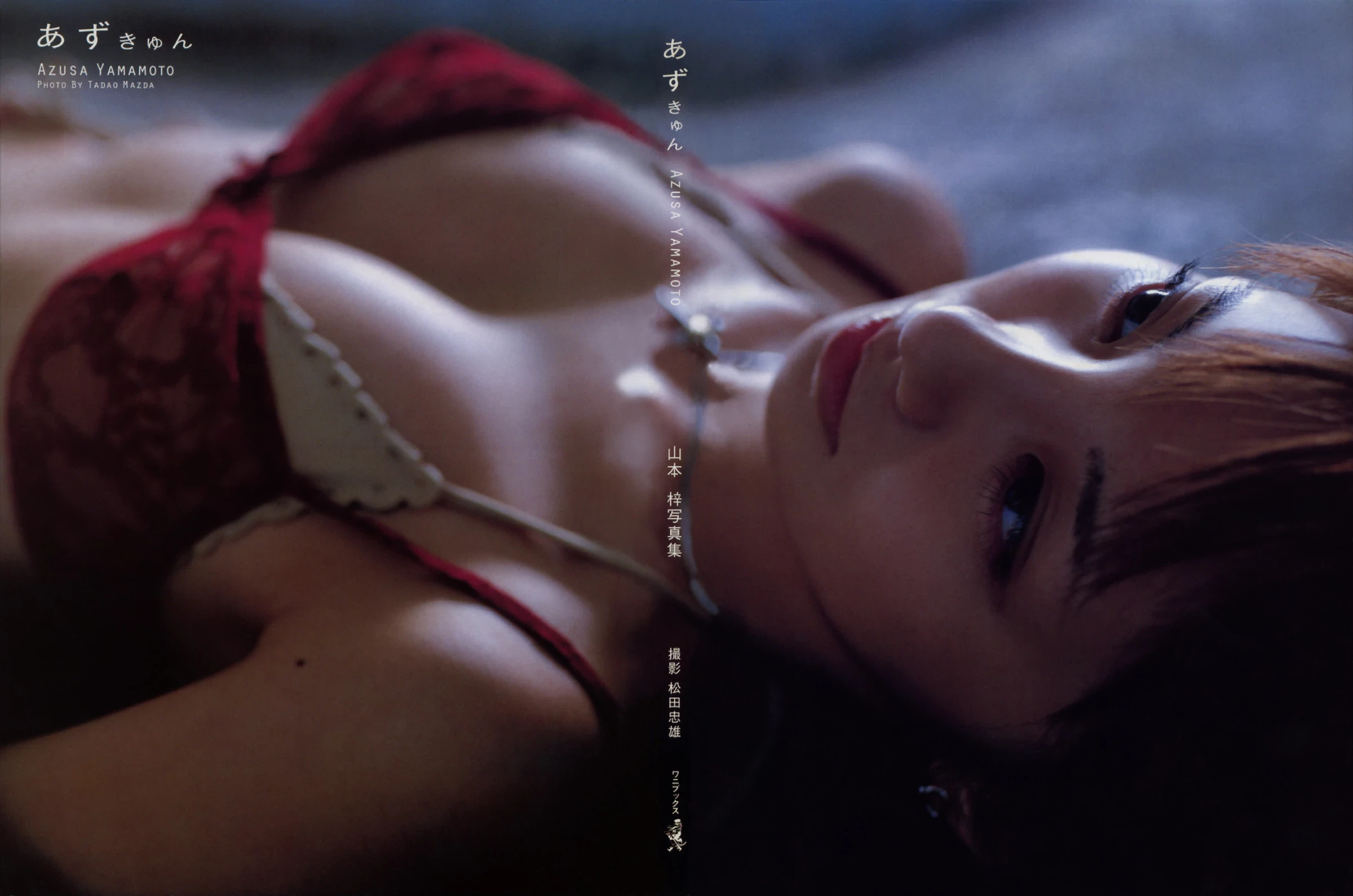 山本锌[Photobook] [Sabra.net] 2012.07.27 Cover Girl  JUICY FRUIT’ [208P]