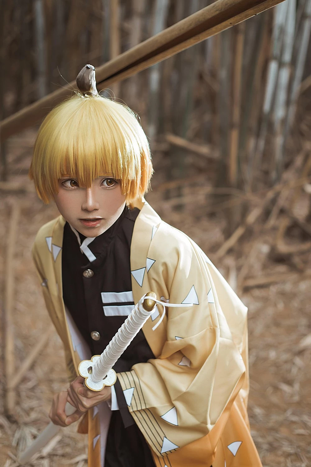 Kitaro 綺太郎 cosplay collection