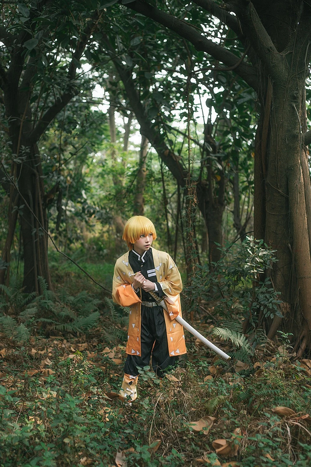 Kitaro 綺太郎 cosplay collection