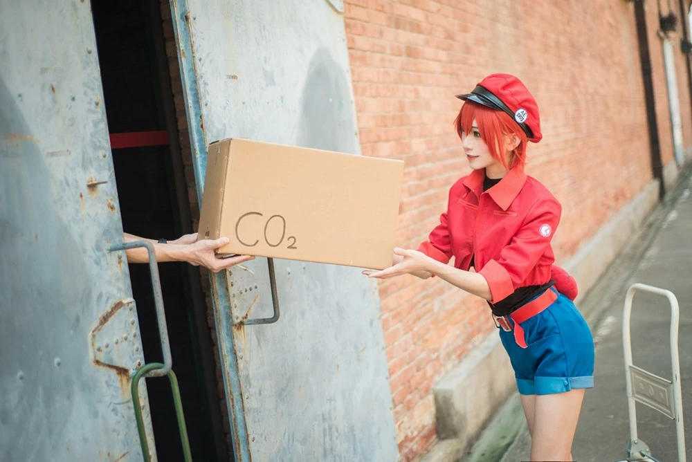 Kitaro 綺太郎 cosplay collection