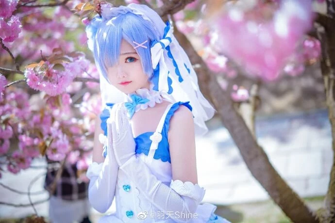 從零開始蕾姆花嫁cos,美萌可愛 cn羽天Shine [12P]