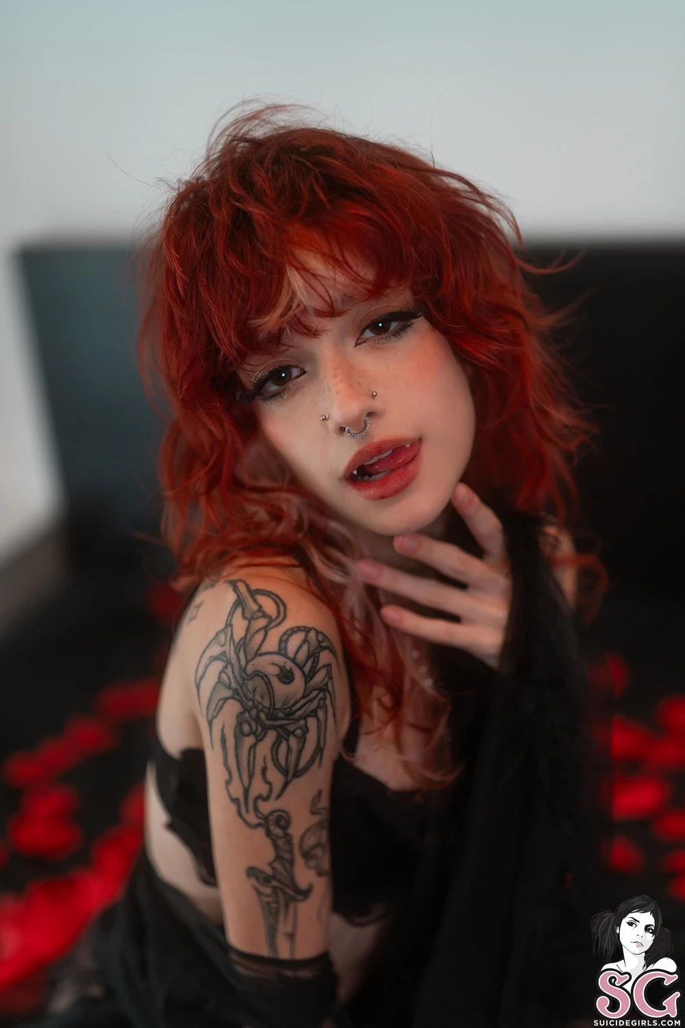 [Suicide Girls]Jan 20, 2025 - Catfois - Fangs and Roses[48P]